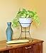 Achla Designs GBS-20 Multi-Use, Small Wrought Iron Metal Plant birdbath Bowl Stand Flowerpot Holder, 8