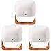 Winlyn 3.3 Inch White Ceramic Contemporary Square Design Succulent Plant Pot/Cactus Plant Pot with Bamboo Tray - Pack of 3