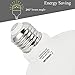 LOHAS 30W LED Bulb Daylight White 5000Kï¼Œ250W-300W Light Bulb Equivalent with Free E26 to E39 Converter, 3400 Lumens Commercial Retrofit LED, High Intensity LED for Garage Warehouse Workshop(2 Pack)