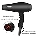 Ionic Hair Dryer with Diffuser,Concentrator and Styling Pik, Lightweight Quiet Blow Dryer, Powerful 1875W Motor for Smooth and Fast Drying Hair