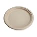 100% Compostable Disposable Paper Plates Bulk [7