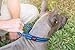 Heavy Duty Dog Collar With Handle | Ballistic Nylon Heavy Duty Collar | Padded Reflective Dog Collar With Adjustable Stainless Steel Hardware | Easy Sizing for All Breeds (Medium/Large, Midnight Blue)