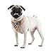 Puppia Kemp Harness-A for Pets, Beige, Medium