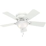 Hunter Fan Company 53378 52\