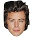 Harry Styles (2013) Celebrity Mask, Card Face and Fancy Dress Mask