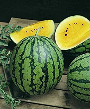 Farmerly Baby Doll Yellow Watermelon Seeds