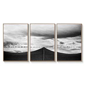Floating Framed Canvas Wall Art for Living Room, Bedroom Black and White Landscape Canvas Prints for Home Decoration Ready to Hang - 16"x24"x3 Panels