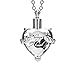 SmartChoice Keepsake Rhinestone Necklace Heart Pendant for Cremation Ashes with Beautiful Presentation Gift Box, Elegant Memorial Jewelry with Stainless Chain and Accessories, (Crystal)