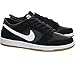 NIKE Men's SB Zoom Dunk Low Pro Skate Shoe