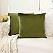 Home Brilliant Green Spring Pillow Covers 18x18 Velvet Throw Pillow Covers Decorative Throw Pillows for Couch Party Decor, 45 x 45cm(18 x 18 inches), Avocado Green