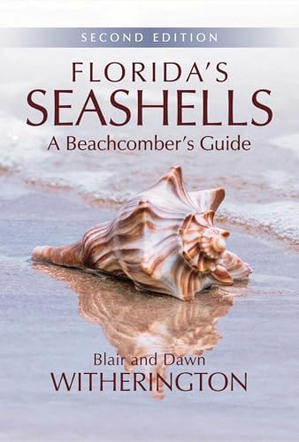The Encyclopedia of Shells: Wye, Kenneth R.: 9780785812333: Amazon
