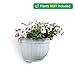 T4U Resin Wall Planter Marble Gray Set of 4, Wall Mounted Garden Plant Flower Pot Basket Container Indoor Outdoor Use for Orchid Herb Aloe Succulent Cactus Home Office Porch Wall Decoration Giftthumb 4