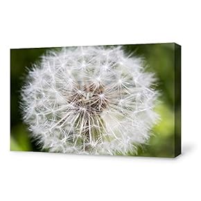 Canvas Wall Art for Living Room,Bedroom Home Artwork Paintings Dandelion Ready to Hang - 12x18 inches