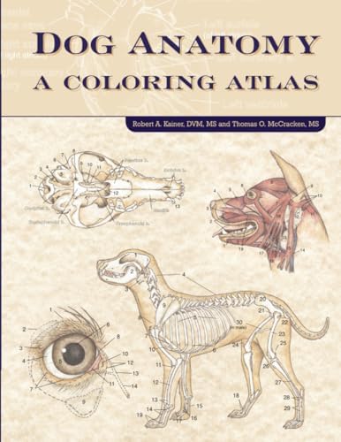 Anatomy of Domestic Animals : Systemic &_Regional Approach 11TH