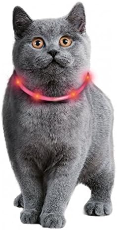 led cat collar