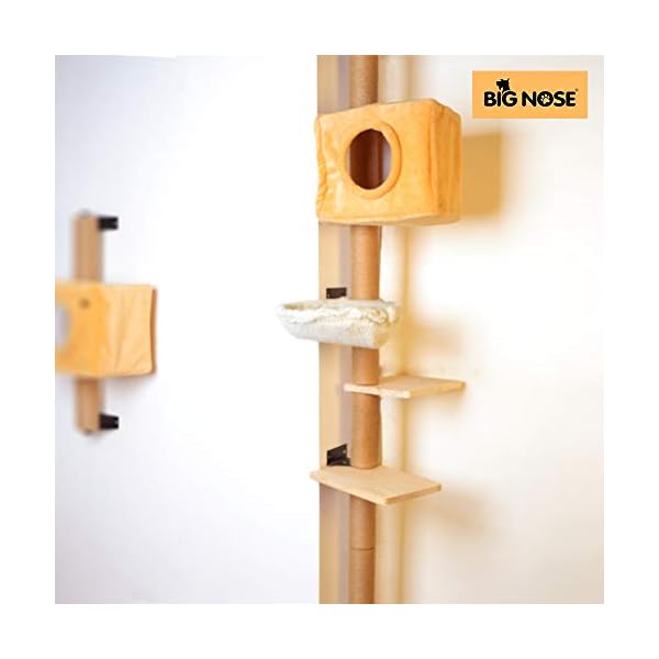 big nose cat tree