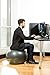 Vitruvian Health and Fitness 2000lbs Exercise Ball with Pump and Workout Poster