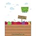 Stretch Island Original Fruit Leather, Ripened Raspberry, 0.5 Ounce (Pack of 30)