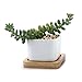 T4U 2 Inch Small White Succulent Planter Pots with Bamboo Tray Square Set of 2, Ceramic Succulent Air Plant Flower Pots Cactus Faux Plants Containers, White Modern Decor for Home and Office