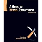 A Guide to Kernel Exploitation: Attacking the Core