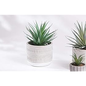 Kurrajong Farmhouse 8" x 4.5" Artificial Plant in Pot | Beautiful Faux Plant for Bedroom Decor | Fake Plant for Shelf Decor | Realistic Faux Succulent for Desk Decor | Artificial Succulent Plant 41Q7FtsqncL
