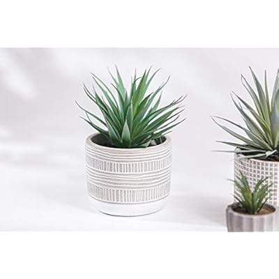Kurrajong Farmhouse 8" x 4.5" Artificial Plant in Pot | Beautiful Faux Plant for Bedroom Decor | Fake Plant for Shelf Decor | Realistic Faux Succulent for Desk Decor | Artificial Succulent Plant 41Q7FtsqncL