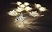 Velice Battery Operated Warm White LED Fairy Lights 10 Metal Star String Decoration Light for Festival Halloween Christmas Party Wedding (Silver)