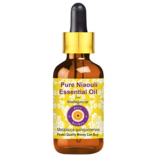 Deve Herbes Pure Niaouli Essential Oil (Melaleuca quinquenervia) with Glass Dropper 100% Natural Therapeutic Grade Steam Distilled 100ml (6.76 oz)