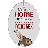 Brown Mini Rex Rabbit Christmas Ornament 2024 - Its