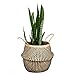 Natural Craft Seagrass Plant Basket for Storage Size (12x12x11 inches) - Style: Black Zigzag, Laundry, Picnic - Plant Pots Cover Indoor Home Decor - Hand Woven Straw Beach Bag with Handles M
