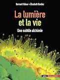 La lumière et la vie : Une subtile alchimie by 