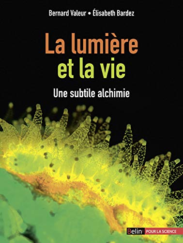 La lumière et la vie : Une subtile alchimie by Bernard Valeur, Elisabeth Bardez