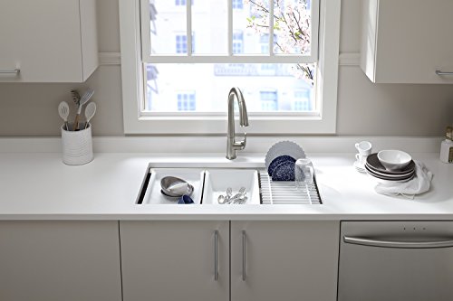 KOHLER K-5540-NA Prolific Undermount Single Bowl Kitchen ...