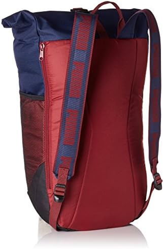 puma sole backpack plus