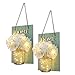 HABOM Mason Jar Sconce Home Wall Decor, Rustic Hanging Jar Sconce with LED Fairy Lights and Silk Hydrangea Flowers Farmhouse Wall Decoration (Set of 2)