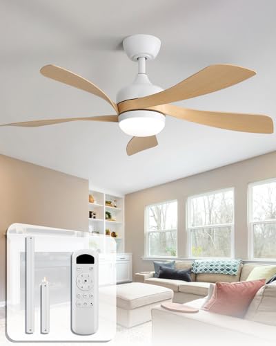 Sofucor Modern Ceiling Fan Light