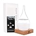 G GGPOWER Storm Glass Weather Stations Water Drop Weather Predictor Creative Forecast Nordic Style Decorative Weather Glass (Mini)