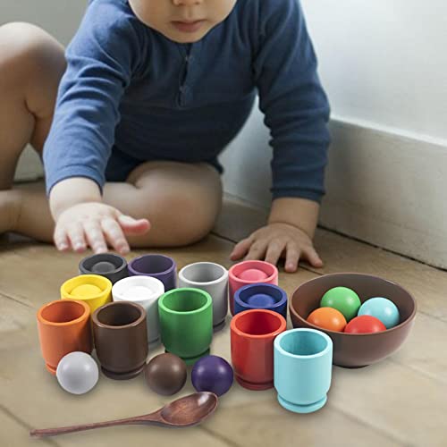 predolo Wooden Rainbow Balls in Cups Montessori Toy Fine Motor Early