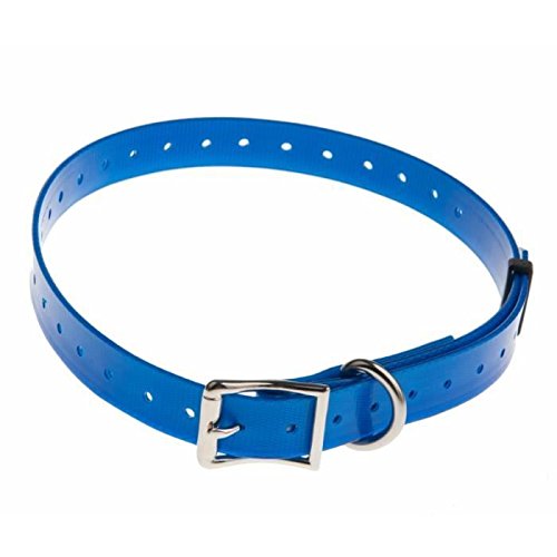 Blue Polyurethane Strap Length 65 cm - Width 25 mm