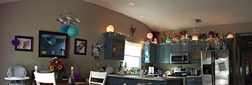 Furuix Mermaid Party Decorations /Under The Sea Party 16pcs Teal Lavender Purple 10inch 8inch Tissue Paper Pom Pom Paper Lanterns for Birthday Decor Baby Shower Decorations Frozen Party Supplies