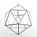 NCYP Hanging Geometric Glass Terrarium, Balcony Windowsill Wall Decor Glass Flower Pot, Modern Large Indoor Garden Tabletop Landscape Icosahedron Planter for Succulents Air Plants (NO Plants)