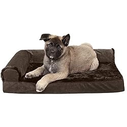Furhaven Memory Foam Dog Bed for Medium/Small Dogs
