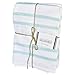 The Accented Co. Kitchen Towels, Set of 3 - Thick, Absorbent, Fast Drying Tea Towels - Turkish Cotton with Hanging Loop (26x19 inches)(Mint Green)