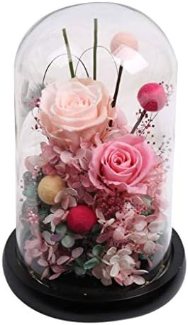 ロマンチックなローズフラワー エンチャントされたローズギフトボックス Ledライト付き永遠のフラワーローズキット用ホームデコレーションホリデーパーティーウェディングアニバーサリー Colorful 15x23cm Omainsdefees Com