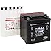 Yuasa YUAM6230X YIX30L-BS Maintenance Free YIX Battery with Acid pack