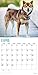 2020 Shiba Inu Calendar 16 Month 12 x 12 Wall Calendar by Bright Day Calendars (Shiba Inu 2019)