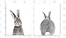 Baby Nursery Wall Decor Prints- Set of 2 UNFRAMED Wall Print 8x10 Baby Bunny Front and Back Photographic Print