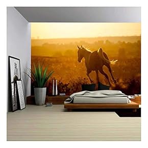 Arabian Horse on Sunset - Removable Wall Mural | Self-Adhesive Large Wallpaper - 66x96 inches