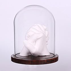 Moonlear Glass Cloche Bell Jar Display Dome with