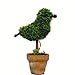 VGIA Artificial potted Plant for Home Decor,Green Bird Boxwood,9.0Inch